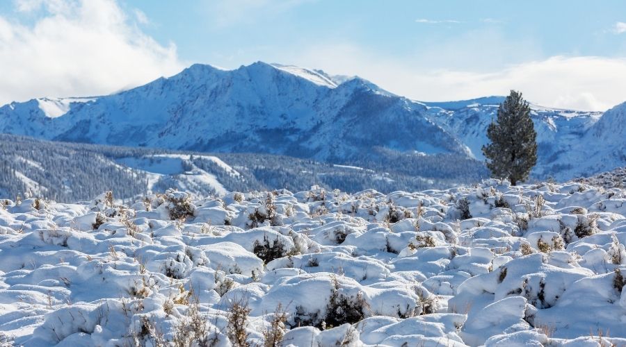 mejor época para esquiar en Sierra Nevada
